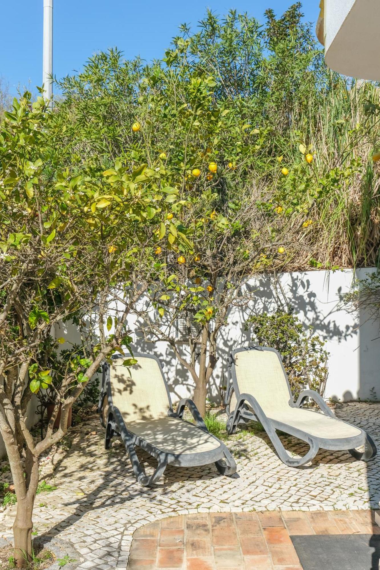 فيلا Casa Limonte Luz المظهر الخارجي الصورة